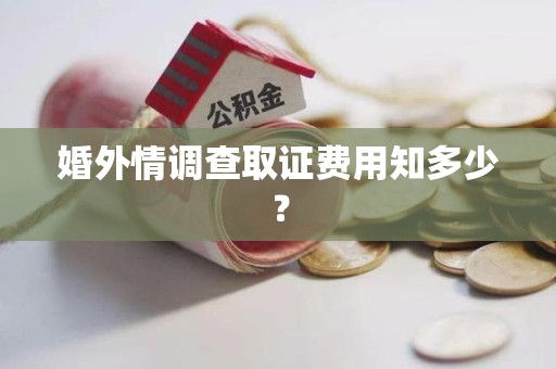 瑞昌婚外情调查取证费用知多少？