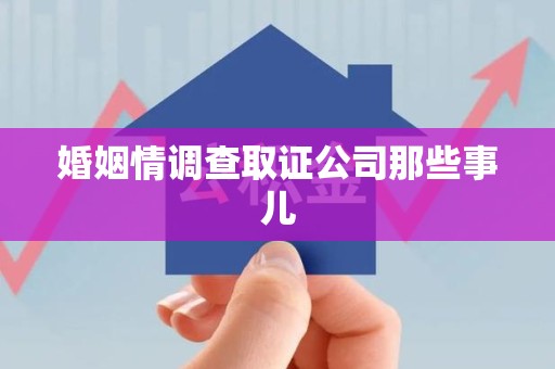 瑞昌婚姻情调查取证公司那些事儿
