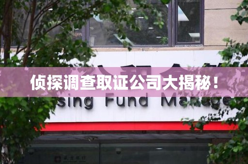 瑞昌侦探调查取证公司大揭秘！