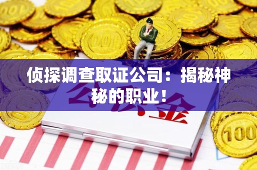 瑞昌侦探调查取证公司：揭秘神秘的职业！
