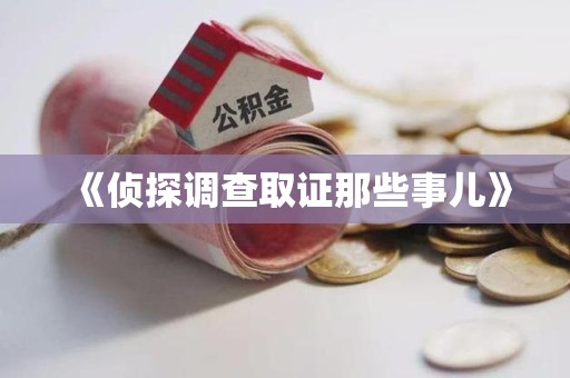 瑞昌《侦探调查取证那些事儿》