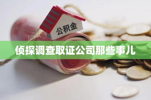 瑞昌侦探调查取证公司那些事儿