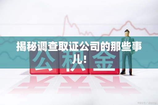 瑞昌揭秘调查取证公司的那些事儿！