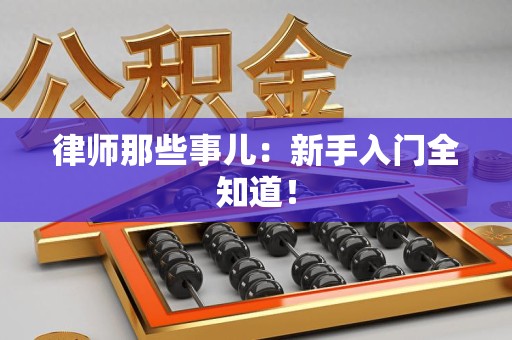 瑞昌律师那些事儿：新手入门全知道！