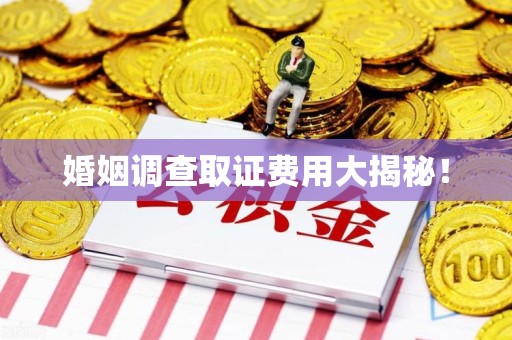 瑞昌婚姻调查取证费用大揭秘！