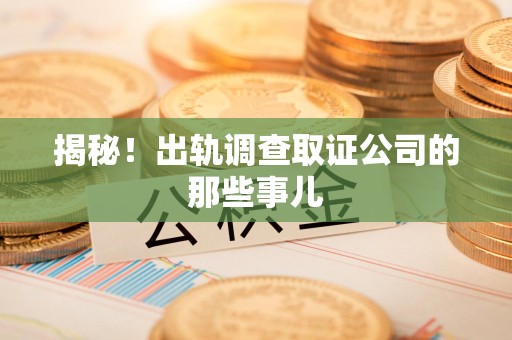 瑞昌揭秘！出轨调查取证公司的那些事儿