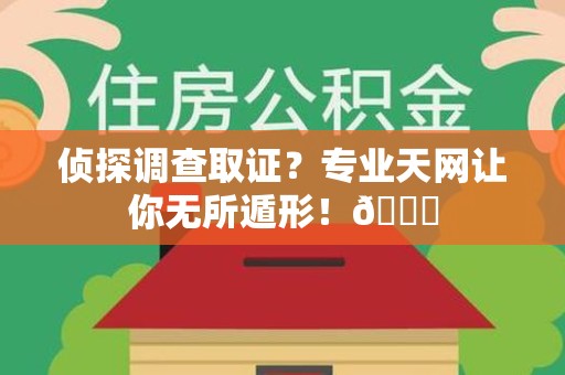 瑞昌侦探调查取证？专业天网让你无所遁形！😎