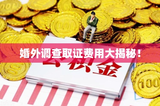 瑞昌婚外调查取证费用大揭秘！