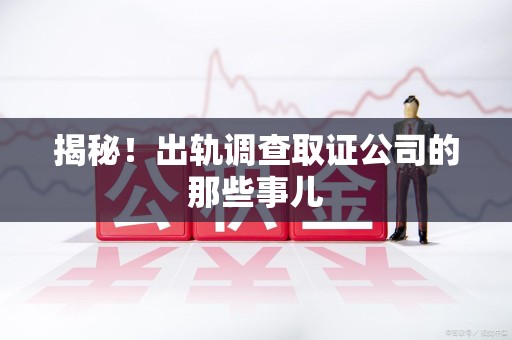 瑞昌揭秘！出轨调查取证公司的那些事儿