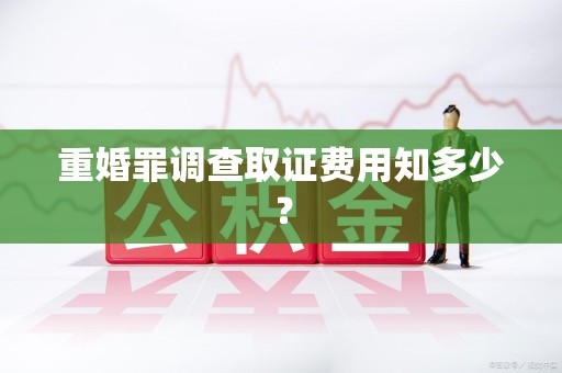 瑞昌重婚罪调查取证费用知多少？