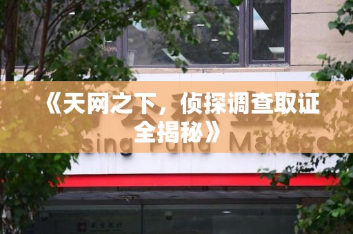 瑞昌《天网之下，侦探调查取证全揭秘》