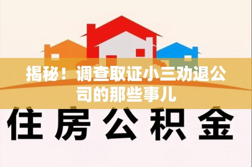 瑞昌揭秘！调查取证小三劝退公司的那些事儿