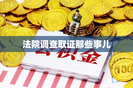 瑞昌法院调查取证那些事儿