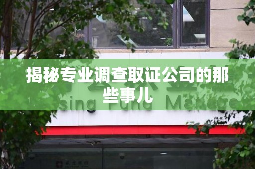 瑞昌揭秘专业调查取证公司的那些事儿