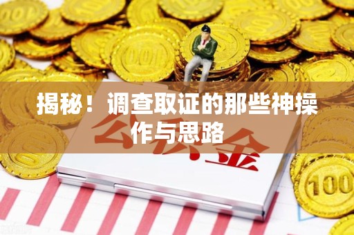 瑞昌揭秘！调查取证的那些神操作与思路