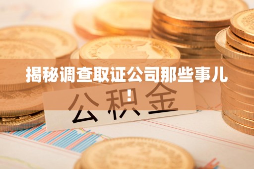 瑞昌揭秘调查取证公司那些事儿！