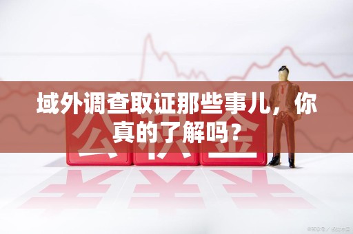 瑞昌域外调查取证那些事儿，你真的了解吗？