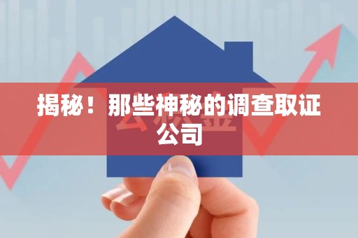 瑞昌揭秘！那些神秘的调查取证公司