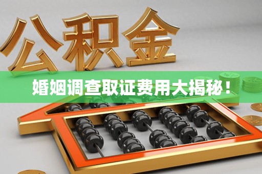 瑞昌婚姻调查取证费用大揭秘！