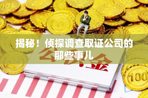瑞昌揭秘！侦探调查取证公司的那些事儿
