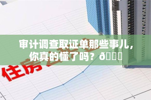 瑞昌审计调查取证单那些事儿，你真的懂了吗？😎